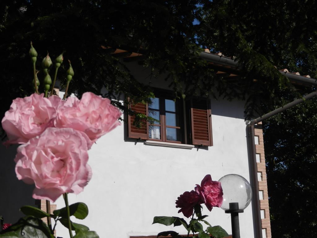 Boscodisotto Acomodação com café da manhã Rapolano Terme Quarto foto